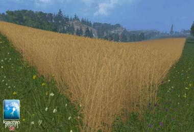 Forgotten Plants Wheat Barley v1.0