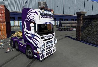 Malmbergs Skin for ScaniaR & Streamline