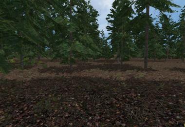 Papenburg North Bokel v1.0