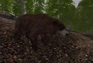 Forest Animals v1.0