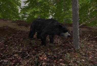 Forest Animals v1.0