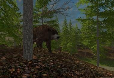 Forest Animals v1.0