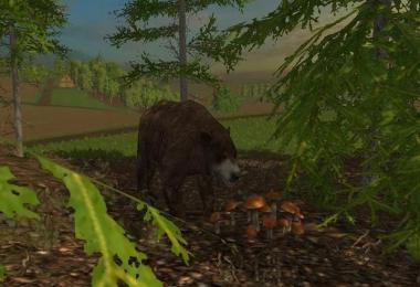 Forest Animals v1.0