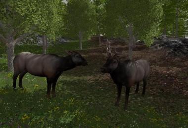 Forest Animals v1.0