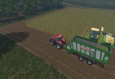 Bergmann Carex 38S v1.0