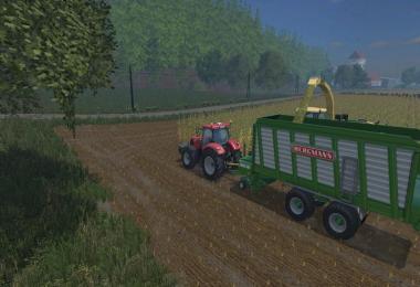 Bergmann Carex 38S v1.0