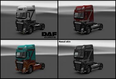 Daf euro 6 Nasud skin v1.0