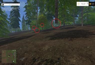 Westbridge Forest v3.0