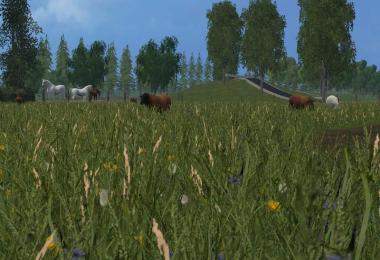 Friesland v1.2