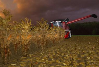 Gold Maize Textures v1.0