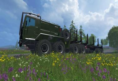 Man TGA XL Forest Pack V2.0