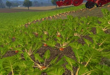 Mangold Beet Texture Pack v1.0