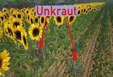 Norge Holm v1.5 Multifruit mit Unkrautmod