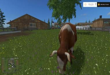 People Holm v1.4 Multifrucht