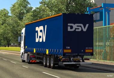 Skin DSV for Schmitz trailer