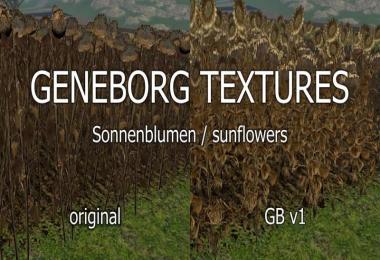 Sunflowers v1.0