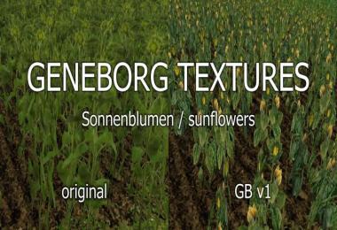 Sunflowers v1.0