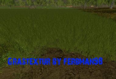 Grass texture v1.0