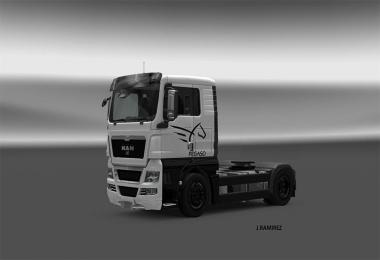 MAN TGX Skin Pegaso