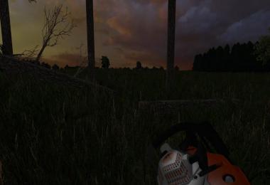 Stihl MS 170 v1.1