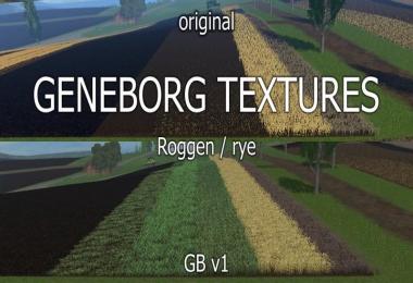 Texture rye v1.0