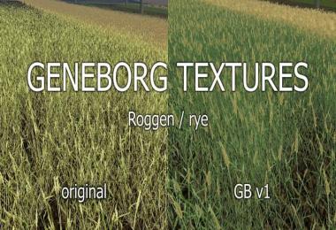 Texture rye v1.0