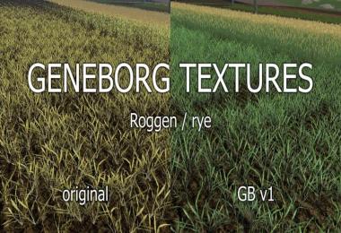 Texture rye v1.0