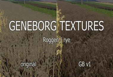 Texture rye v1.0