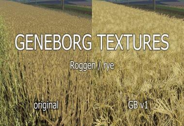 Texture rye v1.0