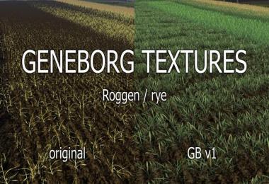 Texture rye v1.0