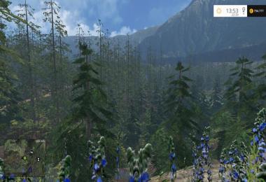 Alpental Forest Extreme v1.4 Beta