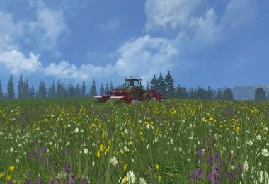 My BIG Country v1.11