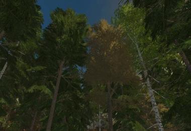 Rockwood: A challenge for lumberjacks v0.98 beta