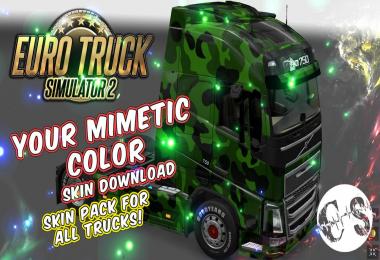 Your Mimetic Color Skin (3 Mask Packs) for All Trucks