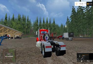 384 Peterbilt  V2