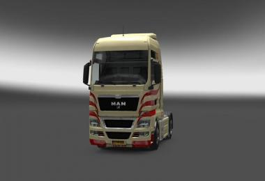 MAN TGX v8 Skin v1.0