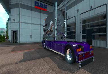 SkinPack Scania T Longline 1.17.1