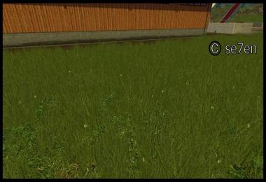 Grass texture v1.0