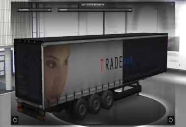 Euro Truck Simulator 2009 v1.18.1