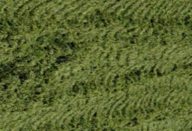 Silage Textures v1.0 Beta