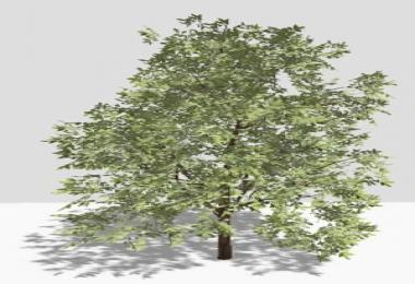 Tree and Staucherset v1.0