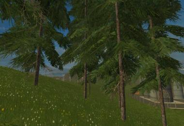 Bergfeld v1.3