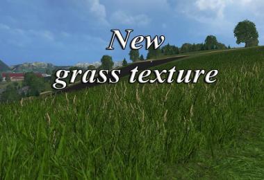 New grass texture v1.0