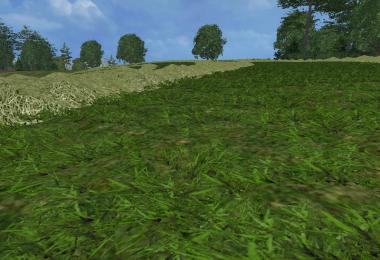 New grass texture v1.0