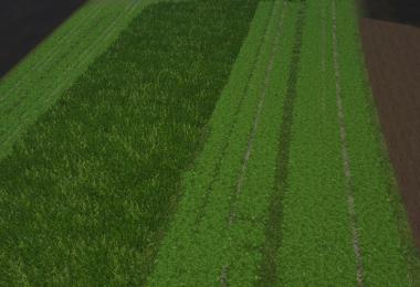 New grass texture v1.0