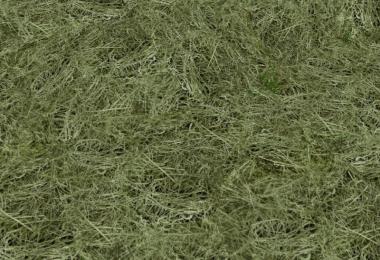 New grass texture v2.0