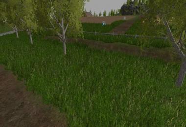 New grass texture v2.0