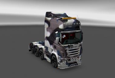 Simple Snow Camouflage Skin for the Scania RJL