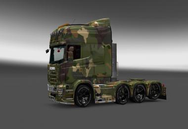 Soil Camouflage Skin for Scania RJL