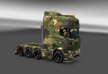 Soil Camouflage Skin for Scania RJL